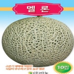 다농 씨앗 멜론(10립) H0007 : 티홈