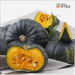 [주식회사 아생]국내산 단호박 1kg 전남 해남 밤호박 : 주식회사 아생