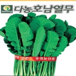 호남열무 씨앗 (600g) H0063 : 티홈