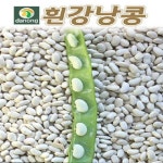 흰강낭콩씨앗(600g) H0017 : 티홈