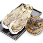 사계절 석화 특대 삼배체굴 대왕굴 3kg : A 테이블