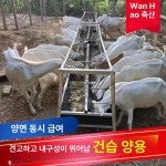 염소먹이통 양 목장 배식 배식통 급식기 축사 선반 사료 돼지 송아지 급여기 밥통 : 딜루나