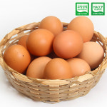 [에그온] 난각번호1번 무항생제 유정란 40구 : 엔조잇