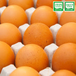 [에그온] 난각번호1번 무항생제 유정란 60구 : 엔조잇