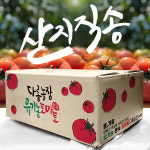 유기농 완숙 토마토 2kg - 마트 : 다롱농장