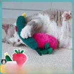 고양이 놀이 퍼즐 해소 재미있는 소리 나무질 채소 1. Stuffed cucumber : 쇼핑여기다47호점