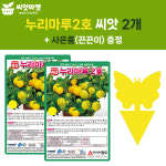 누리마루2호 방울토마토 씨앗 20립 노랑 방울토마토씨 종자 2개+끈끈이1p : 양동씨앗마켓