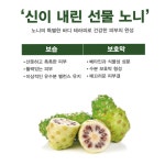 프로페셔널 노니 솔루션 바디워시 750ml / 노니원액 가득 1000ppm 항산화 클렌저 : -행복잡화점-