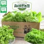 올바른농장 무농약 유러피안 샐러드 꾸러미 채소 3종 랜덤배송 : 기차나소