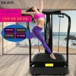 운동기구 덜덜이 전신운동 쉐이크보드 지방제거 제거 지방 A.RT-PT001 수출 헬스장형 실버 : 런바이어