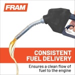 FRAM G3850 최적의 엔진 보호를 위한 고성능 교체 인라인 연료 필터 일부 포드 마쓰다 머큐리 및 위네바고 모델 연도에 적합 : 차량용품 직구샵
