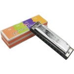 SWAN 10 홀 폴리포닉 하모니카 C 키 온음계 트레몰로 교육용 초급 : 파이스토어33