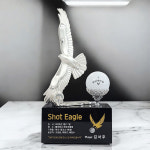 백상어워드 골프트로피 홀인원 기념패 이글패 싱글패 대회우승 트로피35 : 백상어워드