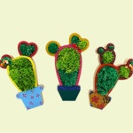 습기제거 식물 스칸디아모스 선인장액자 만들기 5학년 초6 수업 과학 : 카빌