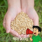 맥아보리 200g 대맥 싹틔운 국산 구수한 보리차 식수대용 : 럭키굿즈