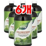 [5+1] 네이처스웨이 액상 엽록소 민트  480ml : 웰스히어로