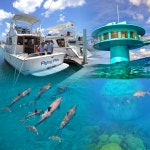 괌자유여행 피쉬아이 돌핀와칭 해중전망대 아이와 가볼만한곳 : 고고괌