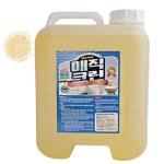 매직크린10L/곰팡이제거제/주방세정제/청소박사 : 플렉시블스토어