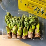 [갤러리아] [더조은] 당일수확 고흥 참두릅 500g : 갤러리아백화점