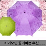 플라워 벚꽃 UV 자외선차단 3단 꽃피는 우산 암막코팅 접이식 자동 수동 휴대용 양산 : 한판샵