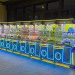 인형뽑기기계 대형 동전 스낵 휴대용 스마트 가족 모델1 : 글로리어스store