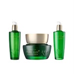 [김정문알로에] 뉴세레브 퓨어 알로에 3종세트 (여성용 3종세트+증정품) 125ml 스킨, 125ml 로션, 55ml 젤리크림, (증정)30ml 비비크림... 