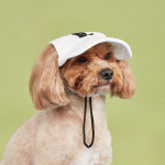 반려동물 패치 포인트 캡모자 : 파스텔펫