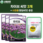 산들마켓 차이브 씨앗 400립 챠이브씨 허브 3개+랜덤 씨앗 1개 증정 : 산들마켓샵