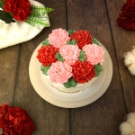 미니카네이션 케익 케이크 주문제작 스승의날 부모님 생신 수제 맞춤 케이크 전국 택배 배달 : 케익팩토리 딜리버리