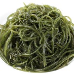 완도바다해맑은 꼬들꼬들 염장 햇꼬시래기1.5kg : 피쉬세일