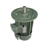JIN RONG 수직 3 상 토크 모터 YLJ80-2-4/20Kg YLJ90S-5-4/50Kg YLJ100-6-4/60Kg YLJ112-10-4/100Kg YLJ160-16 -4 : 아진 상사