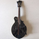 만돌린 민속악기 서양 악기 어쿠스틱 공연용 성인 클래식 취미 F형 금색 : 모아담아몰