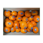 미국산 큐티 만다린 3kg 코스트코 : 잡화T마켓