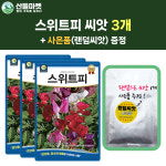 산들마켓 스위트피 씨앗 10립 스위트피 꽃씨 관샹용 종자 3개+랜덤씨앗1개 증정 : 산들마켓샵