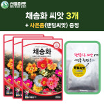 산들마켓 채송화 씨앗 2000립 채송화 꽃씨 3개+랜덤 씨앗 1개 증정 : 산들마켓샵
