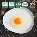 [구쁘 유정란] 우리가족 안심계란 옹알옹알(30구,40구) : 구쁘농장