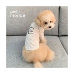 PETIT MONDE 쁘띠몽드 레터링 티셔츠 : 이룸상점22