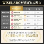 WISELABO 허리 받침대 자동차 허리 쿠션 메모리 폼 자세 개선 시트 쿠션 운전석 메쉬 원단 (Ys Lab) : 시구왕바다