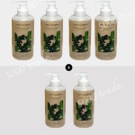 [4+2] 토소웅 다시마 샴푸 무실리콘 순한 두피케어 500ml 6개 : 오천상사