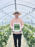 [산지직송, 당일수확] 예스팜 미니오이, 스낵오이 2kg : 예스팜스토어
