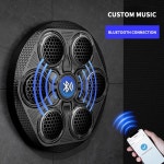 뮤직복싱 머신 가정용 샌드백 다이어트 홈트 스마트 복싱 운동기구 블루투스 : 맥시멀