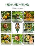 사과따기 복숭아 배 오렌지 원예 따는 농사 사과 고공 망고 수확 휴대용 단일 1.5m : 상도덕상회
