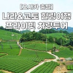 주식회사 팔팔힐링투어 | [오사카 출발] 나라&교토 힐링여행 프라이빗 일일 단독 차량투어 맞춤투어 가능한 덕아웃 : 주식회사 덕아웃