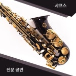 알토 고급 듀얼 섹소폰 입문용 색소폰 검은색 : 정인구매스토어