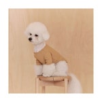 HEY BUDDY 버디 와펜 티셔츠_베이지 : 이룸상점22