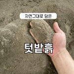 생비 자연텃밭흙(10kg) 여름철 잘 견디는 흙 : 생비