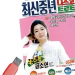 중년 디스코 트로트 노래 USB 금소연 노래칩 SD카드 : 기안79