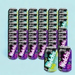 웰치스 제로 샤인머스켓 355ml 24캔+ 포도 355ml 24캔 : 현대공판장