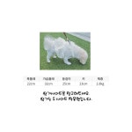 얼음공주 화동원피스 핸드메이드 강아지뜨개옷 : 너멍나멍