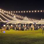 파티라이트 5M11구 LED 야외 줄조명 오징어등 스트링 전구 라이트 캠핑장 펜션 조명 : iDK